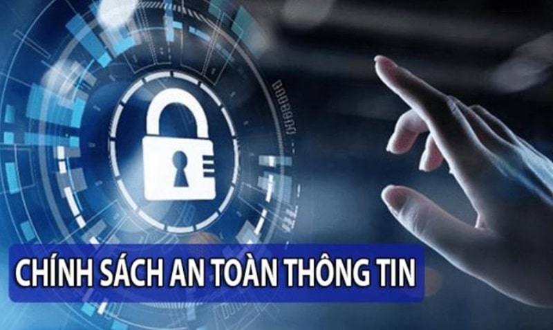 Nhà cái thu thập thông tin một cách minh bạch và an toàn
