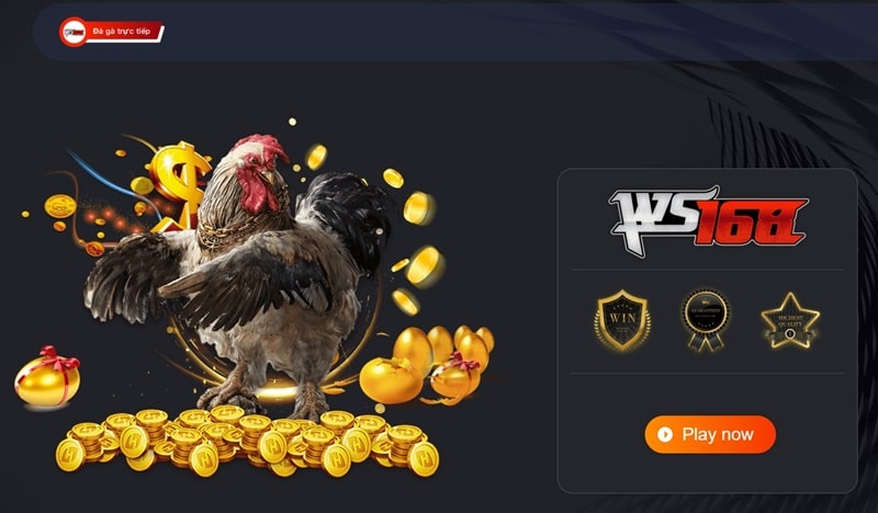 Sảnh cá cược đá gà cực kỳ đặc sắc dành cho kê thủ tại Luck8